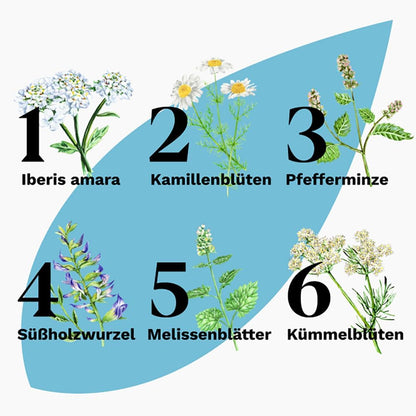 Iberogast ADVANCE | Nr. 1 bei verschiedenen Magen-Darm-Beschwerden: Blähungen, Sodbrennen, Übelkeit, Völlegefühl | regelmäßige Beschwerden | 20ml