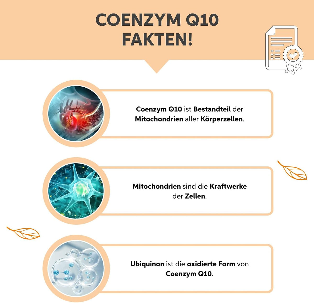 Coenzym Q10 Kapseln 200 Stueck | 200mg Hochdosiert Premium Ubiquinon | Vegan aus pflanzlicher Fermentation
