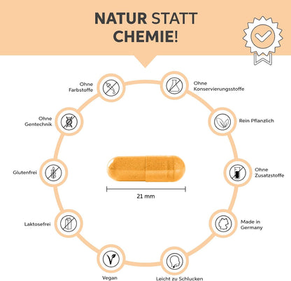 Coenzym Q10 Kapseln 200 Stueck | 200mg Hochdosiert Premium Ubiquinon | Vegan aus pflanzlicher Fermentation
