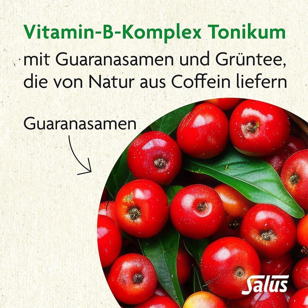 Salus Vitamin B-Komplex Tonikum 250 ml | Fluessiges Nahrungsergaenzungsmittel mit B-Vitaminen fuer Energiestoffwechsel und Nervensystem *, vegan