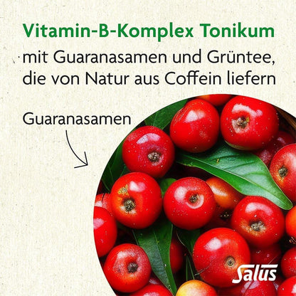 Salus Vitamin B-Komplex Tonikum 250 ml | Fluessiges Nahrungsergaenzungsmittel mit B-Vitaminen fuer Energiestoffwechsel und Nervensystem *, vegan