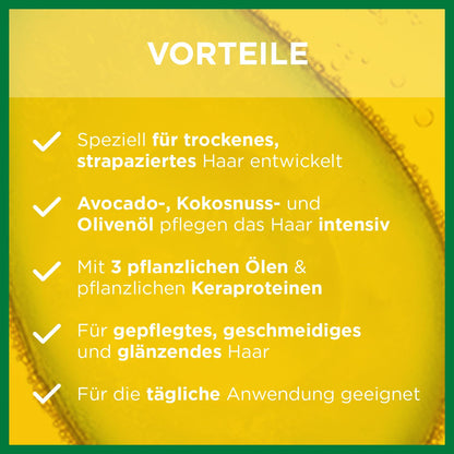 Garnier Fructis Multi- Use Wunderol for Dry Hair, Pack of 1 (1 x 150 ml)