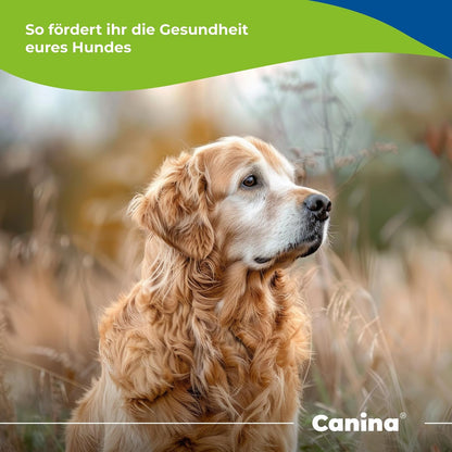 Canina V25 Vitamintabletten, 100g
