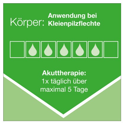 https://statics.docmorris.de/static/produkte/FX5QYBJ8/docmorris/ps420/ketozolin-2-shampoo-120-ml-02837759-07-1763713547809380.jpg
