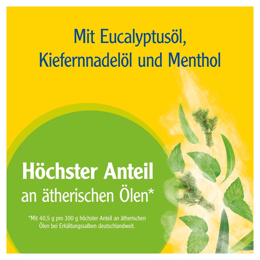 https://statics.docmorris.de/static/produkte/FX53ADK6/docmorris/ps420r/pinimenthol-erkaeltungssalbe-100-g-03745309-03-1764273673600382.jpg