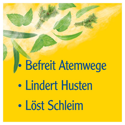 https://statics.docmorris.de/static/produkte/FX53ADK6/docmorris/ps420r/pinimenthol-erkaeltungssalbe-100-g-03745309-04-1764273673972926.jpg