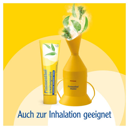 https://statics.docmorris.de/static/produkte/FX53ADK6/docmorris/ps420r/pinimenthol-erkaeltungssalbe-100-g-03745309-07-1764273675122278.jpg