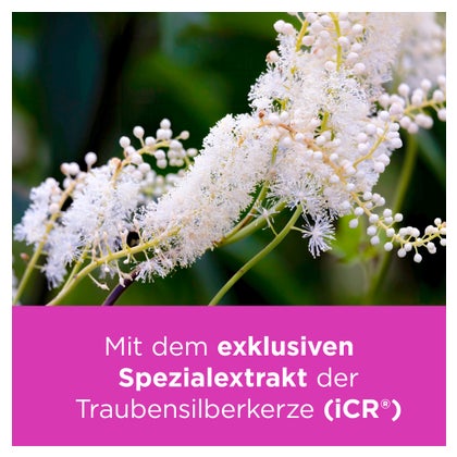 https://statics.docmorris.de/static/produkte/FX5U7TEQ/docmorris/ps420/remifemin-tabletten-200-st-04540259-05-1757707283660589.jpg