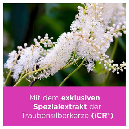 https://statics.docmorris.de/static/produkte/FX5U7TEQ/docmorris/ps420/remifemin-tabletten-200-st-04540259-05-1757707283660589.jpg
