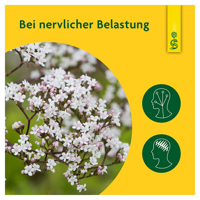 https://statics.docmorris.de/static/produkte/FX5LKWDY/docmorris/ps420r/schoenenberger-naturreiner-heilpflanzensaft-baldri-00692067-02-1722024054297967.jpg