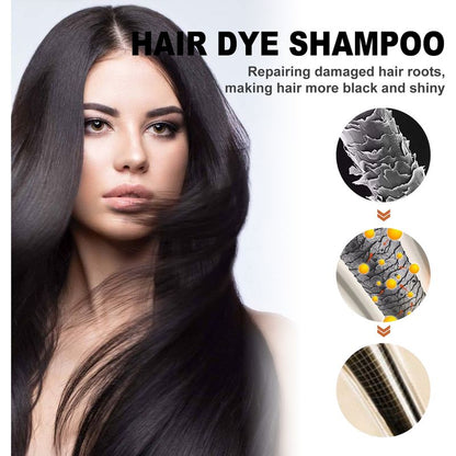 EELHOE Black Hair Dye Shampoo with Polygonum Multiflorum Extract 2pcs