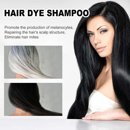 EELHOE Black Hair Dye Shampoo with Polygonum Multiflorum Extract 2pcs