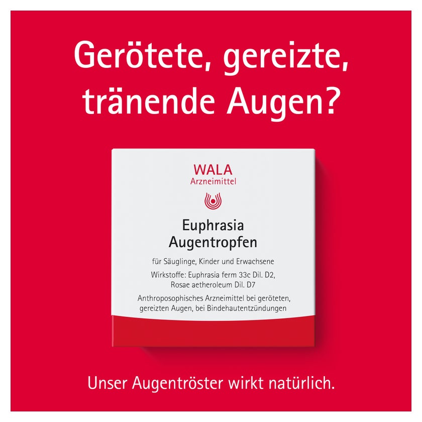 https://statics.docmorris.de/static/produkte/FX510SSD/docmorris/ps420r/wala-euphrasia-augentropfen-10x0-5-ml-06816435-02-1761595285863630.jpg