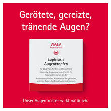 https://statics.docmorris.de/static/produkte/FX510SSD/docmorris/ps420r/wala-euphrasia-augentropfen-10x0-5-ml-06816435-02-1761595285863630.jpg