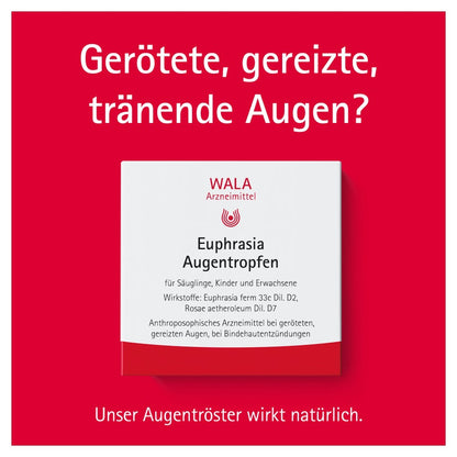 https://statics.docmorris.de/static/produkte/FX510SSD/docmorris/ps420r/wala-euphrasia-augentropfen-10x0-5-ml-06816435-02-1761595285863630.jpg