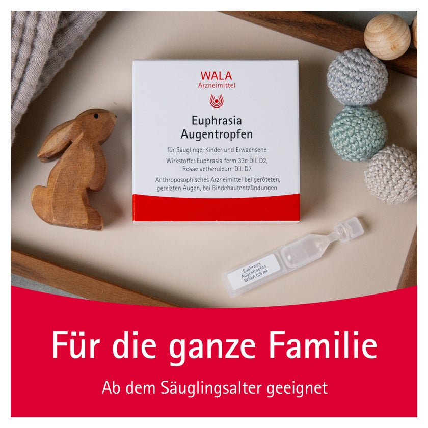 https://statics.docmorris.de/static/produkte/FX510SSD/docmorris/ps420r/wala-euphrasia-augentropfen-10x0-5-ml-06816435-04-1761595286571601.jpg