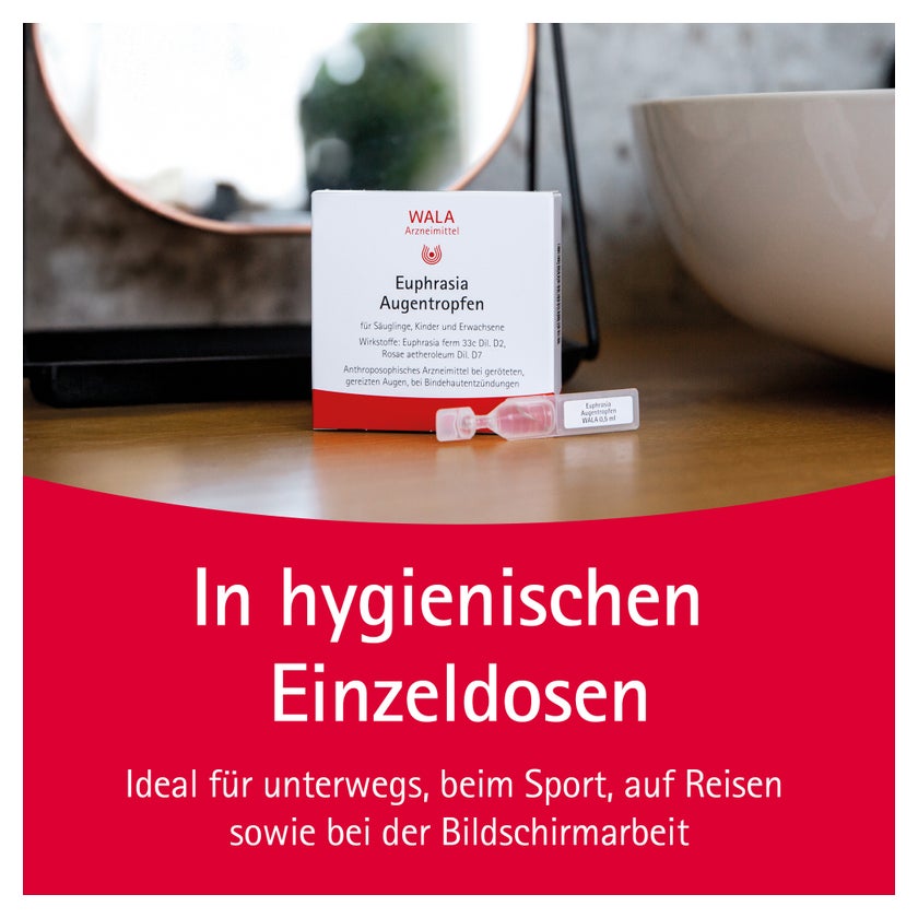 https://statics.docmorris.de/static/produkte/FX510SSD/docmorris/ps420r/wala-euphrasia-augentropfen-10x0-5-ml-06816435-05-1761595286968812.jpg