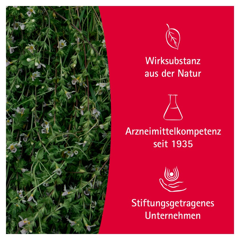 https://statics.docmorris.de/static/produkte/FX510SSD/docmorris/ps420r/wala-euphrasia-augentropfen-10x0-5-ml-06816435-07-1761595287621328.jpg