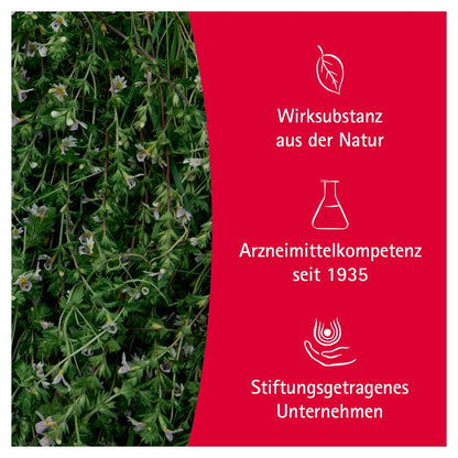 https://statics.docmorris.de/static/produkte/FX510SSD/docmorris/ps420r/wala-euphrasia-augentropfen-10x0-5-ml-06816435-07-1761595287621328.jpg