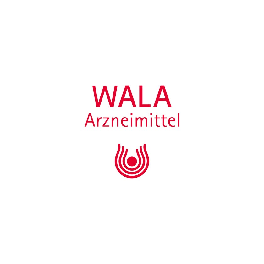 https://statics.docmorris.de/static/produkte/FX510SSD/docmorris/ps420r/wala-euphrasia-augentropfen-10x0-5-ml-06816435-08-1761595287975859.jpg